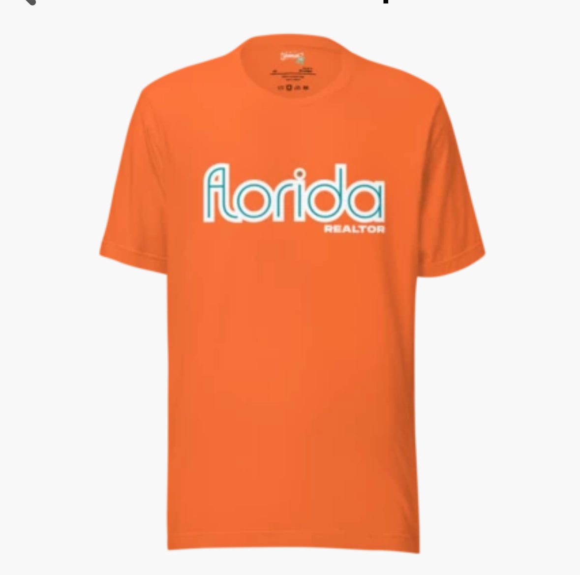 FLORIDA REALTOR®️| Finsicle